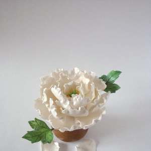 Meet your Posher, Cris